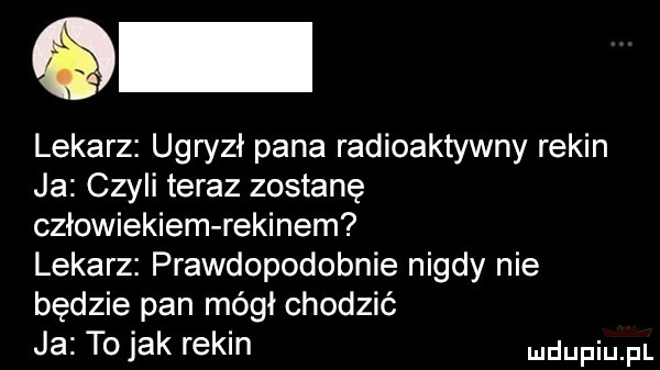 lekarz ugryzł pana radioaktywny rekin ja czyli teraz zostanę człowiekiem rekinem lekarz prawdopodobnie nigdy nie będzie pan mógł chodzić ja to jak rekin ludupiu il