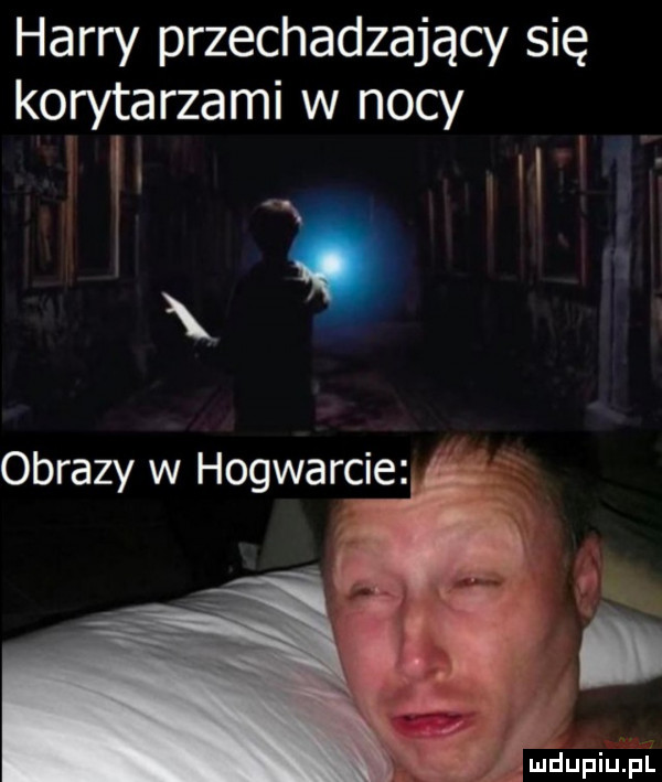harry przechadzający się korytarzami w nocy. i a obrazy w hogwarcie