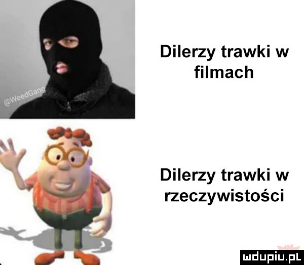 dilerzy trawki w filmach dilerzy trawki w rzeczywistości. ludu iu. l