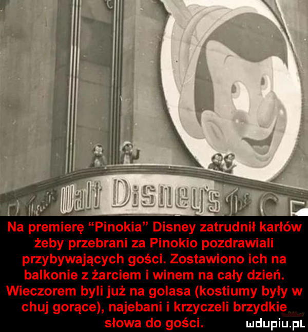 na premierę pinokia disney zatrudnił karłów żeby przebrani za pinokio pozdrawiali przybywających gości. zostawiono ich na balkonie z żarciem i winem na cały dzień. wieczorem byli już na golasa kostiumy byly w chuj gorące najebani i krzyczeli brzydkie slowa do gości. ludupiu l