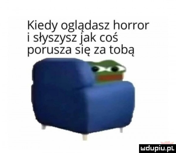 kiedy oglądasz horror i słyszysz jak coś porusza się za tobą
