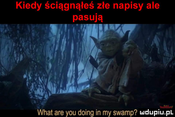 kiedy ściągnąłeś złe napisy ale pasw ą. wiat are y-u doing in my swamp mdupiupf
