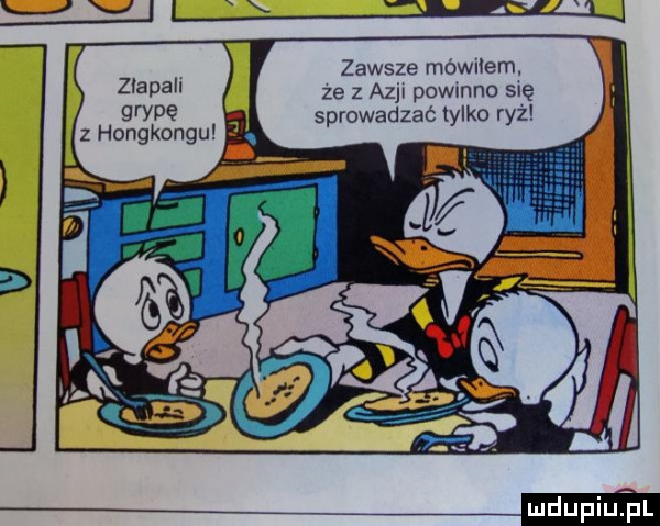 g wp hongkongu   sprowadzać tylko ryz zr i zawsze mówiłem amal ze z azji powmno się z