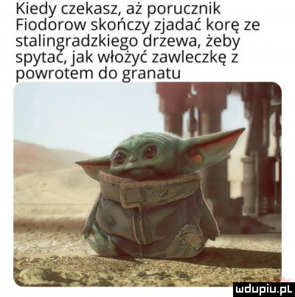 kiedy czekasz aż porucznik fiodorow skończy zjadać korę ze stalingradzkiego drzewa żeby spytac jak włożyć zawleczkę z powrotem do granatu mel eriupl