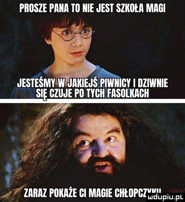 pkilsze paka ibl kie jest szkoła magi g jestesmy w jakiejs eiwkigv iiziwkie się gziije p  iygh fﬂslllllﬂlgll   a   zakaz piikaze gi magie gkłiipg mam pl
