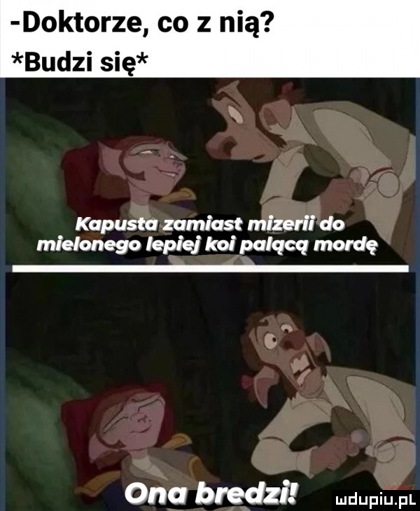 doktorze co z nią budzi się kapusta zamiast mizerii do mielonego lepiej koi palącą mordę ona bl edzi mdupiﬁjal