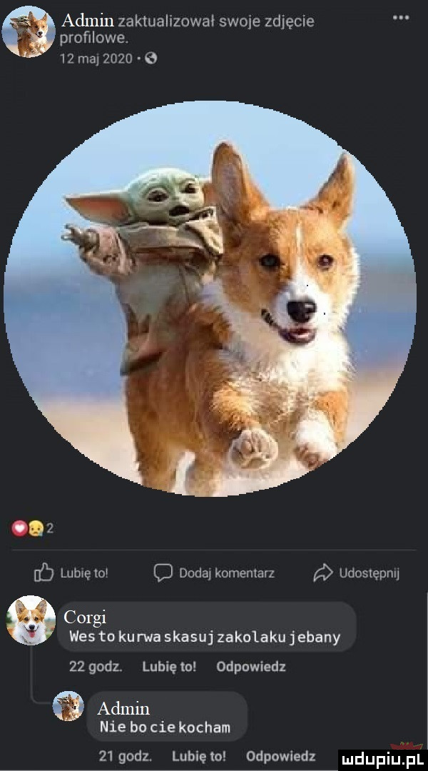 admin zaktualizował swoje zgięcie profilowe.    ma       e     ec lubveto c dodą komentarz udoskępnu corgi was to kurwa skasuj zakolaku j elany    godz lunięto odpowiedz admin nie bo cie kocham    godz. lubiewo odpowiedz dupqul