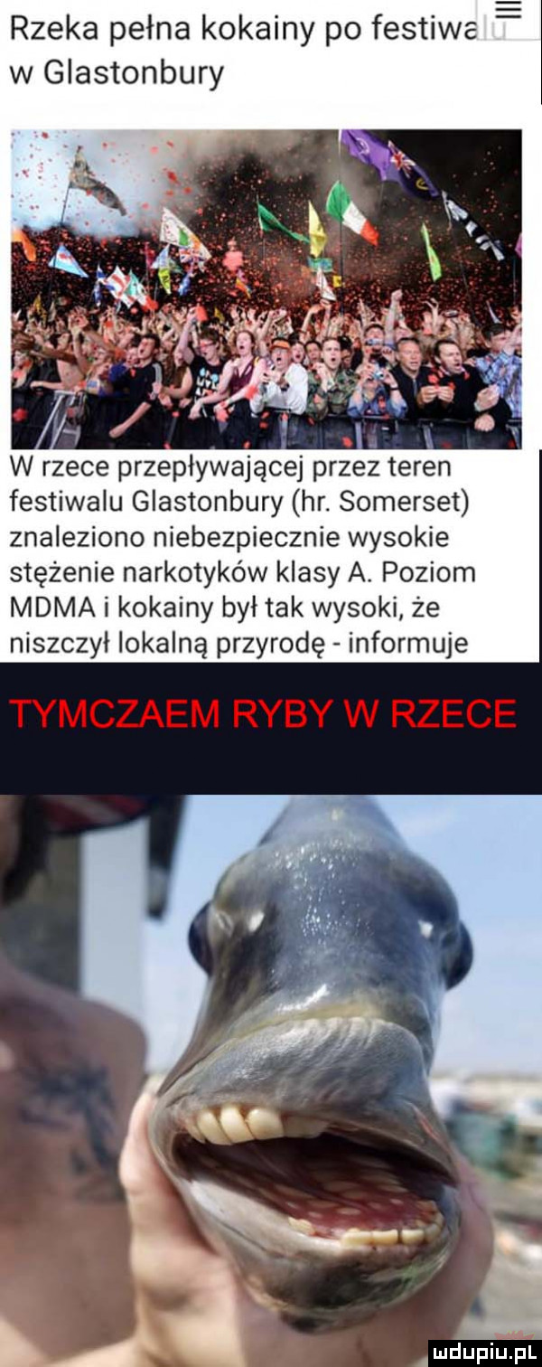 rzeka pełna kokainy po festiwe e w glastonbury ij u w rzece przepływającej przez teren festiwalu glastonbury hr. somerset znaleziono niebezpiecznie wysokie stężenie narkotyków klasy a. poziom mama i kokainy był tak wysoki że niszczył lokalną przyrodę informuje a iwdupiu pl