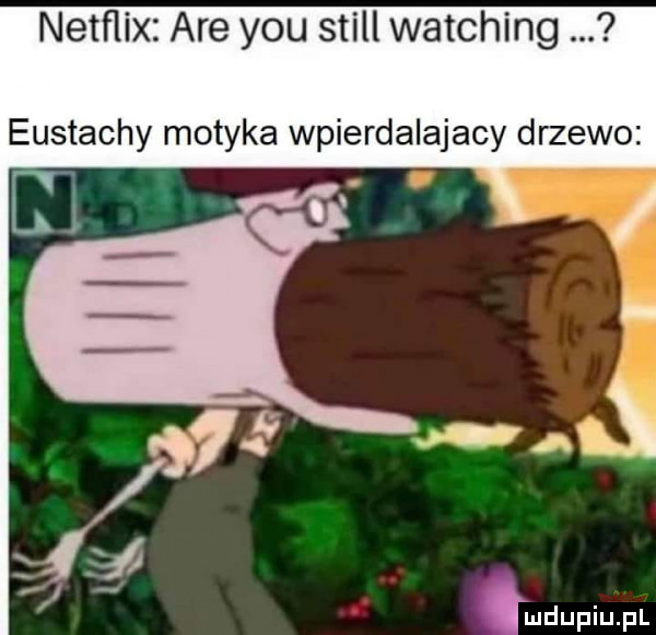 netflix are y-u stall watching. eustachy motyka wpierdalajacy drzewo