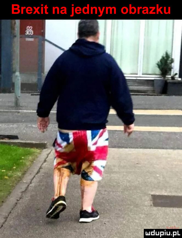 brexit na jednym obrazku ludu iu. l