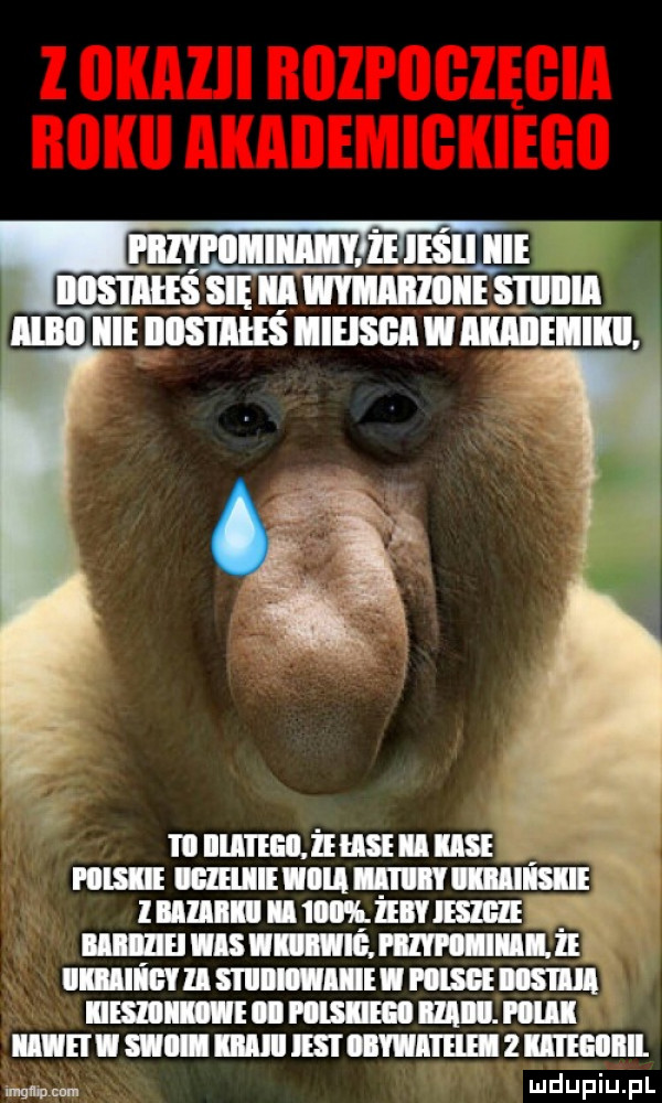 nnumtżmunmi. mi nin kicia mami mummomgzmn x i mrn mnin lum immusmnummamu mmm mmm unum mmmnmuzmnm mmm