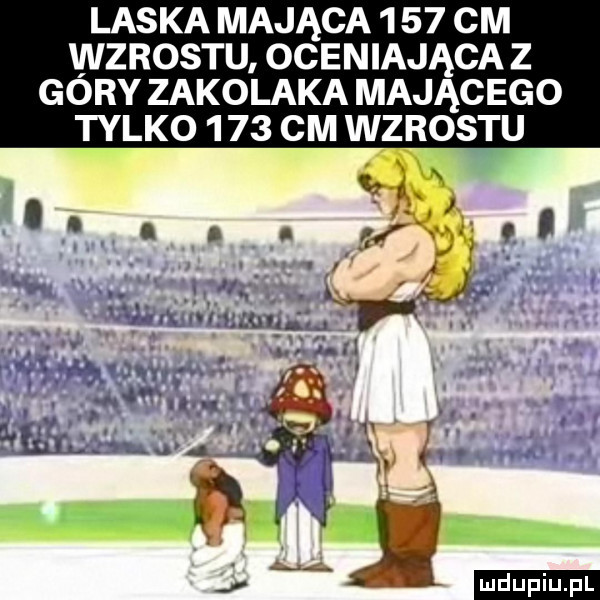 laska mająca      cm wzrostu oceniająca z góry zakolaka mającego tylko      cm wzrostu m l l ławy. cwmnmzmnglg  . u mew fi wat l. i m . n. abakankami jj dupiupl