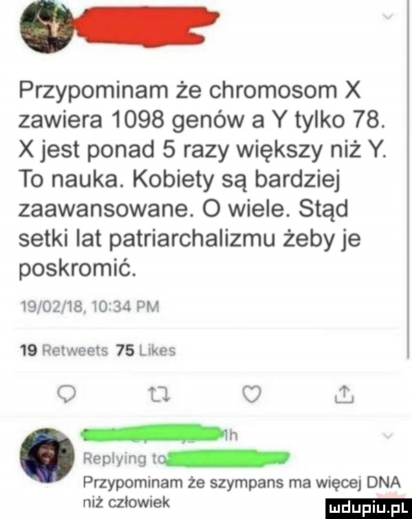 o przypominam że chromosom x zawiera      genów a y tylko   . x jest ponad   razy większy niż y. to nauka. kobiety są bardziej zaawansowane. o wiele. stąd setki lat patriarchalizmu żeby je poskromić.                pm    relweels    limes o u o ih. replylng l przypominam że szympans ma więcej dna niż człowiek