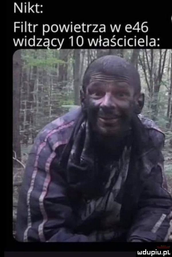 nikt filtr powietrza w e   widz    właciciel a