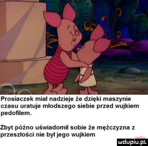 prosiaczek mial nadzieje że dzięki maszynie czasu uratuje mlodszego siebie przed wujkiem pedofilem. zbyt późno uświadomii sobie że mężczyzna z przeszłości nie był jego wujkiem