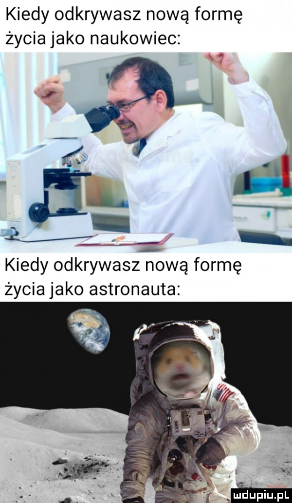kiedy odkrywasz nową formę życia jako naukowiec kiedy odkrywasz nową formę życia jako astronauta