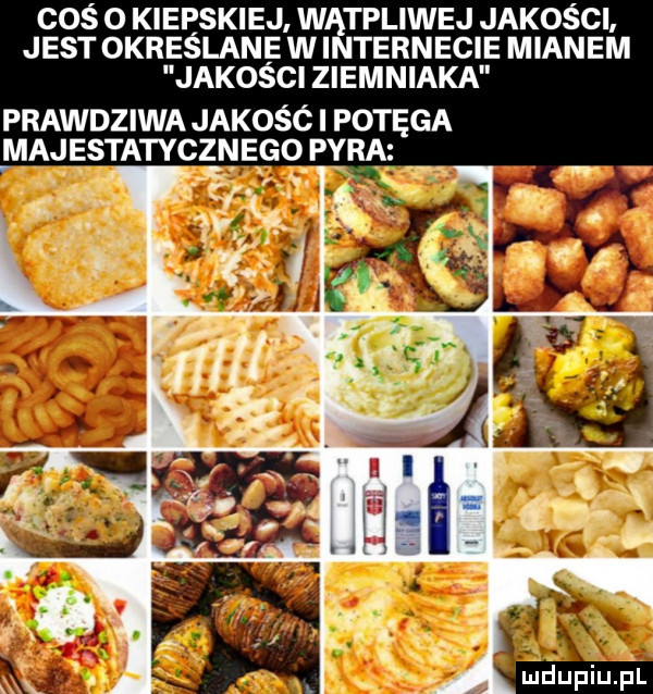 coś o kiepskiej wątpliwej jakości jest określane w internecie mianem jakości ziemniaka prawdziwa jakość i potęga majest
