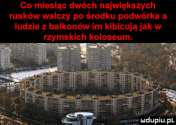 co miesiąc dwóch największych rusków walczy po środku podwórka a ludzie z balkonów im kibicują jak w rzymskich koloseum