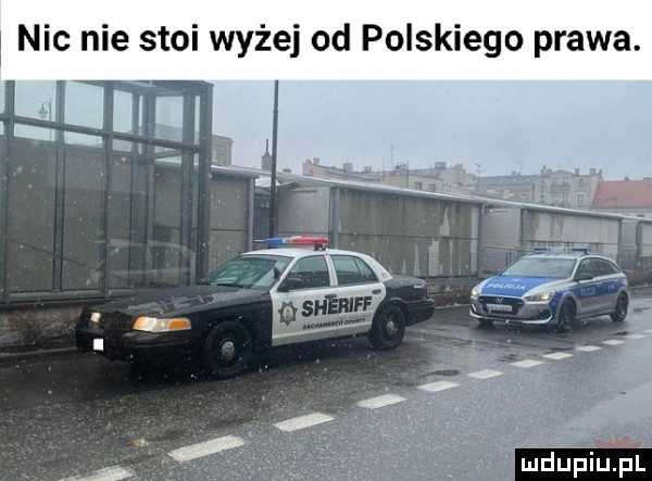 nic nie stoi wyżej od polskiego prawa
