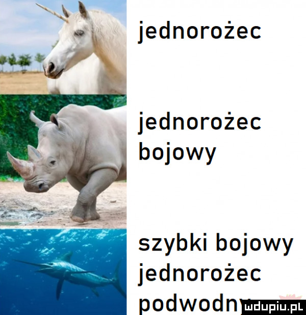 jednorożec jednorożec bojowy szybki bojowy jednorożec podwodn