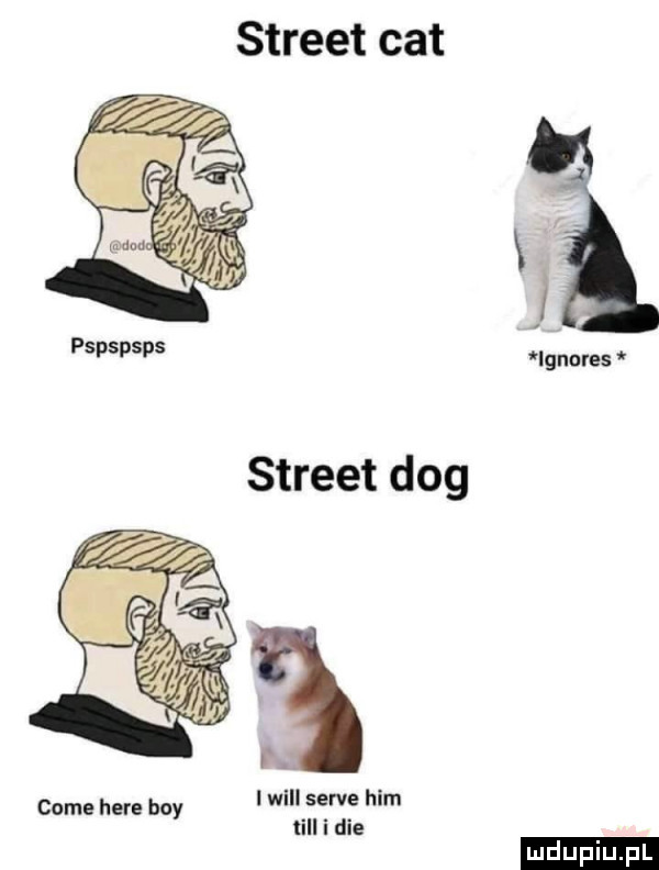 street cat pspspsps iguorss street dog i will serce ham tall i dce cole here boy ludu iu. l