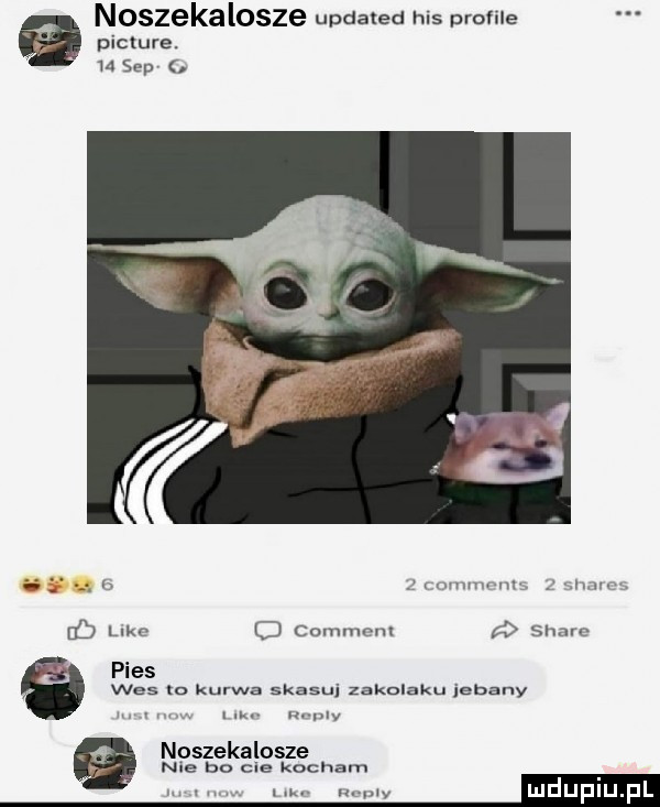 picture. u sep a noszekalosze updated his profile r m w m. g mm     lec o cornmcrll stare pies was to kurwa skasuj zakolaku jebany. w noszekalosze nie bo cle kocham. u my