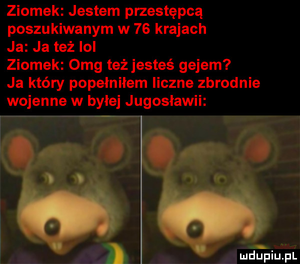 ziomek jestem przestępcą poszukiwanym w    krajach ja ja też ici ziomek omg też jesteś gejem ja który popełniłem liczne zbrodnie wojenne w bylej jugoslawii q      mru piupl