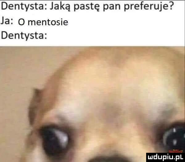 dentysta jaką pastę pan preferuje ja o mentosie dentysta