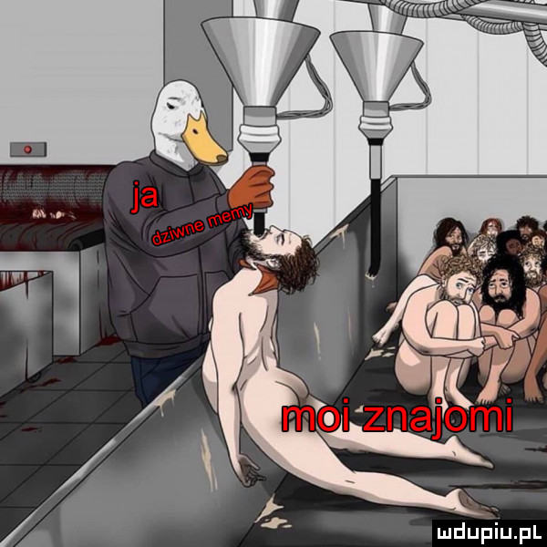 j    mail znaj gal
