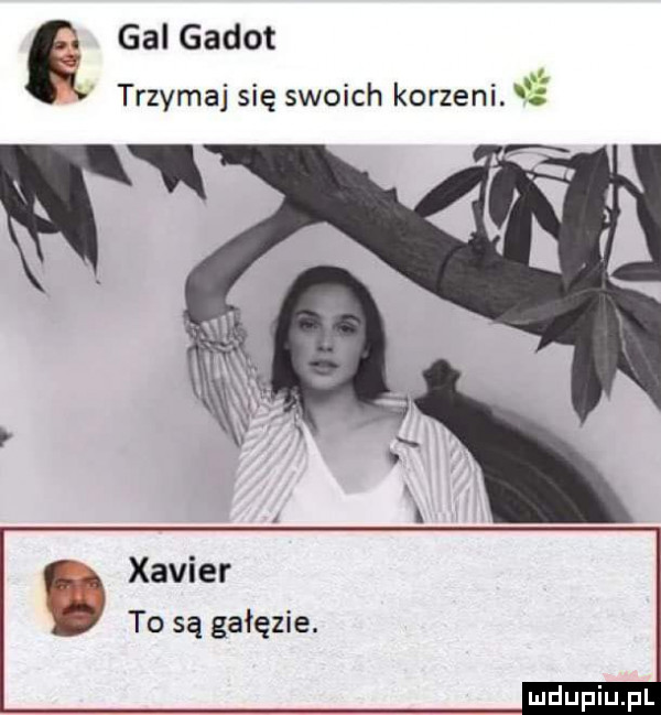 gal godot trzymaj się swoich korzeni. xavier to są gałęzie