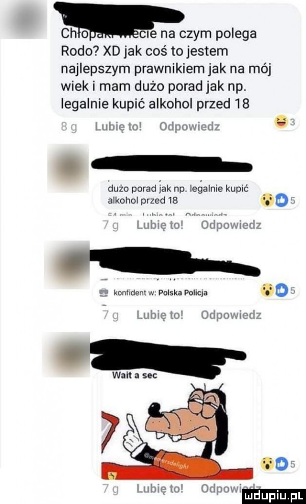 chlouclle na czym polega rodo xd jak coś to jestem najlepszym prawnikiem jak na mój wieki mam dużo porad jak np. legalnie kupić alkohol przed    la  . w ham a. puco porad idk np legalnie kupić alkohol przed    w o