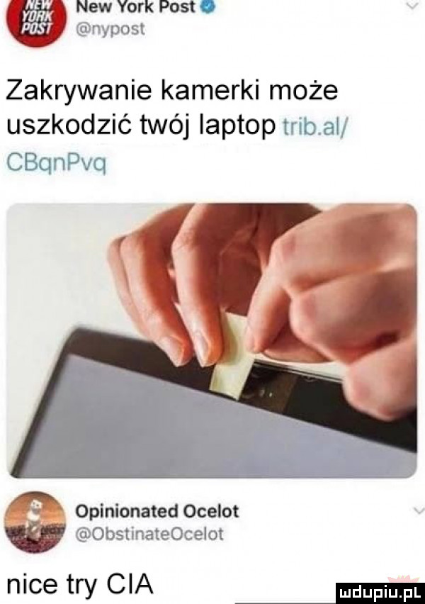 mad naw york post. push nypost zakrywanie kamerki może uszkodzić twój laptop trąb al cbanvq i opinionated ocelot obstinateocelot nice tey cia mmm