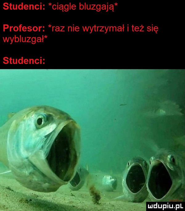 studenci ciągle bluzgają profesor raz nie wytrzymał i też się wybluzgał studenci e i