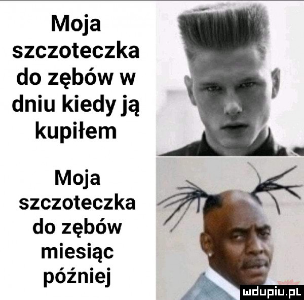 moja szczoteczka do zębów w dniu kiedy ją kupiłem moja szczoteczka do zębów miesiąc później