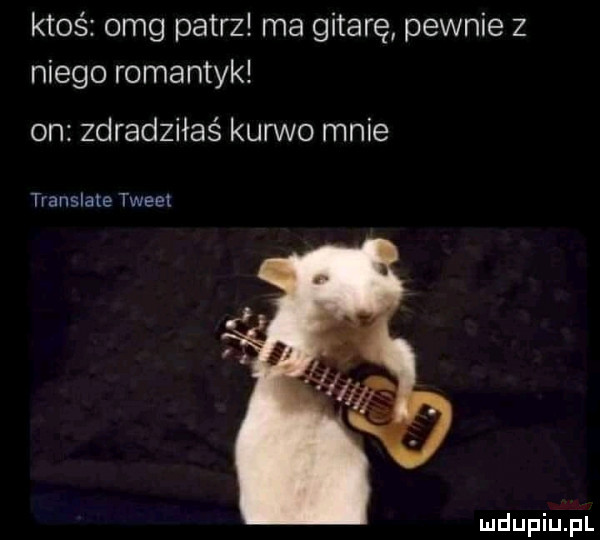 ktoś omg patrz ma gitarę pewnie z niego romantyk on zdradziłaś kurwo mnie translate tweet
