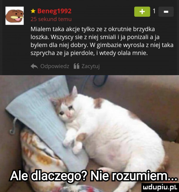 r mialem taka akcje tylko ze z okrutnie brzydka ioszka. wszyscy sie z niej smiali ica ponizali a ja bylem dla niej dobry w gimbazie wyrosła z nie taka szpwcha zuja pierdole i wtedy olala mnie. f. abakankami ale dlaczego nie rozumiem