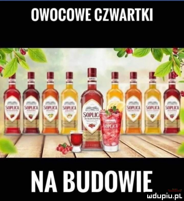 owocowe czwartki na budowieś lu upiu pl