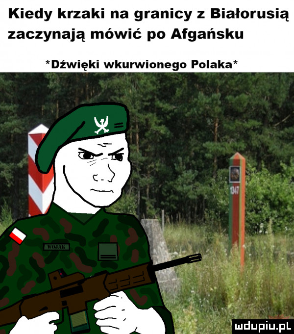 kiedy krzaki na granicy z białorusią zaczynają mówić po afgańsku dźwięki wkurwionego polaka