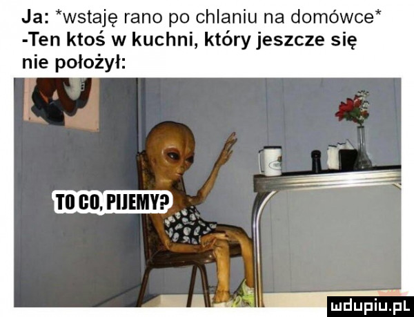 ja wstaję rano po chlaniu na domówce ten ktoś w kuchni który jeszcze się nie położył i ii go i ijemy  . y ludupillpl