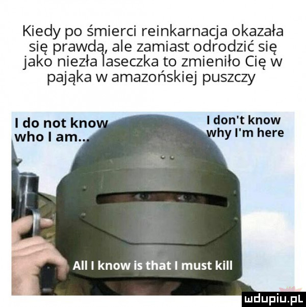 kiedy po śmierci reinkarnacja okazała się prawd ale zamiast odrodzić się jako niezła aneczka to zmieniło cię w pająka w amazońskiej puszczy i do not keo ikon t know hy i m here all i know is trat i most kall