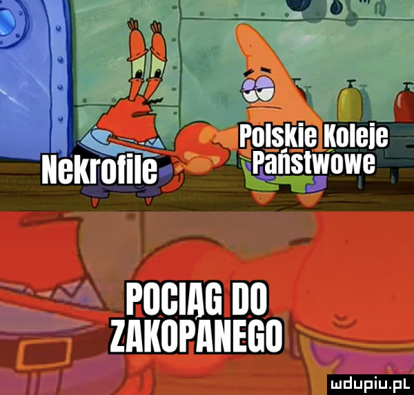 v polskie kolbie lee kroliie wﬁgﬂstgowe mw pugiag ibl zakupaiiego w ludupiu. pl
