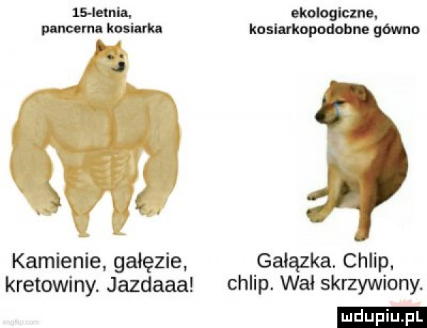 lsletn ia pancerna kosiaka. abakankami j r ć. kamienie gałęzie kretowiny. jazdaaa ekologiczne. kosiarka podobne gówno gałązka. chlip chlip. wal skrzywiony. ludu iu. l