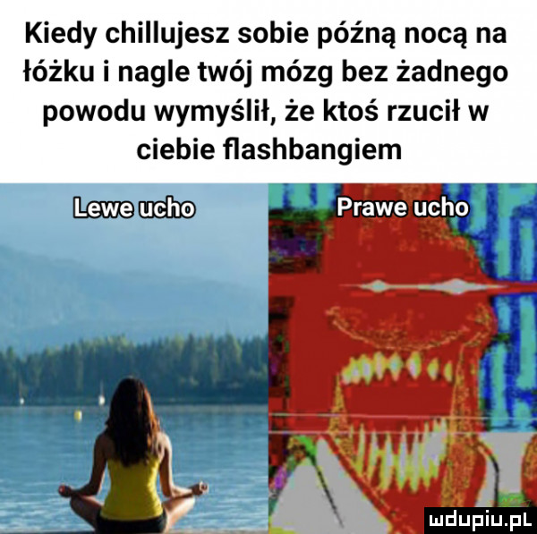 kiedy chillujesz sobie późną nocą na łóżku i nagle twój mózg bez żadnego powodu wymyślił że ktoś rzucił w ciebie ﬂashbangiem. lewe ucho prawe cicho r