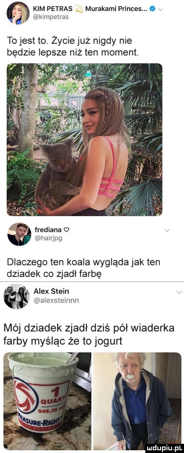 kim petras murakami princes. abakankami vj. kimpetras to jest to. zycie już nigdy nie będzie lepsze niż ten moment.   frediana o hairjpg dlaczego ten koala wygląda jak ten dziadek co zjadł farbę alex stein alexsteinnn mój dziadek zjadł dziś pół wiaderka farby myśląc że to jogurt
