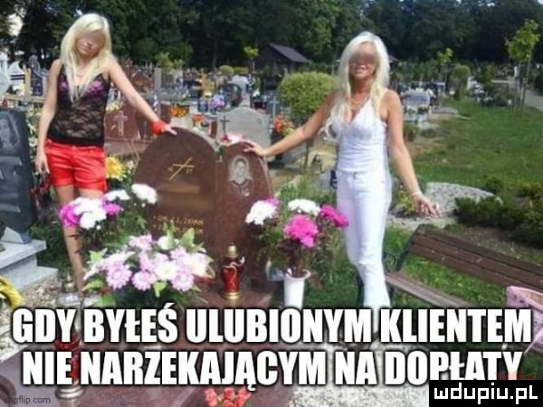 gimme lllllbliliiym kllentemj hugiźunnzirwgcvmlunlngn d iv