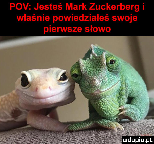 pcv jesteś mark zuckerberg i właśnie powiedziałeś swoje pierwsze słowo
