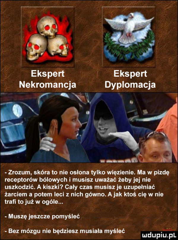 uj ekspert ekspert nekromancja dyplomacja zrozum skóra to nie osłona tylko więzienie. ma w pizde receptorów bólowych i musisz uważać żeby jaj nie uszkodzić. a klszkl caly czas musisz je uzupeinlać żarciem a potem leci z nich gówno. abak ktoś cię w nie trafi to już w ogóle. muszę jeszcze pomyśleć. m bez mózgu nie będziesz musiała myśioć mdupiup
