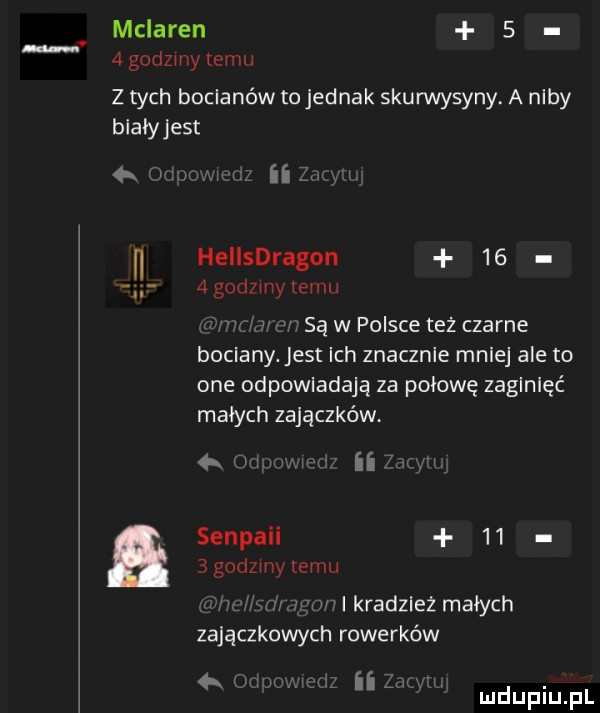 mclaren     godzmy temu z tych bocianów to jednak skurwysyny. a niby blaiyjest. ną. heiisdragon      gad my temu. są w polsce też czarne bociany. jest ich znacznie mniej ale to one odpowiadają za połowę zaginięć małych zajączków w ii senpaii      godzmy temu vlkradzlez małych zajączkowych rowerków ii dupqul