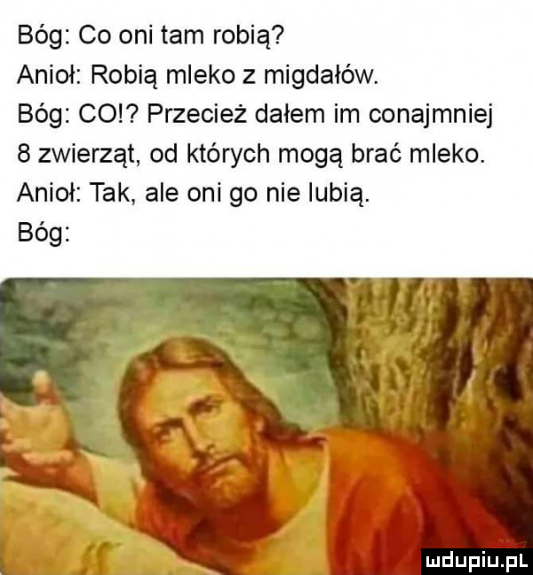 bóg co oni tam robią anioł robią mleko z migdałów. bóg co przecież dałem im conajmniej   zwierząt od których mogą brać mleko. anioł tak ale oni go nie lubią