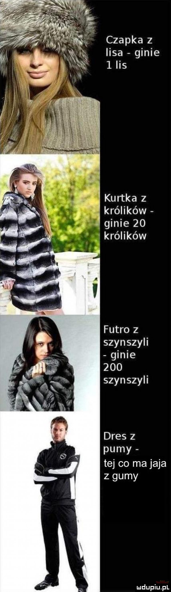 czapka z lisa ginie   ihs. kurtka z królików ginie    królików futro z szynszyli ginie     szynszyli dres z pumy tej co ma jaja z gumy